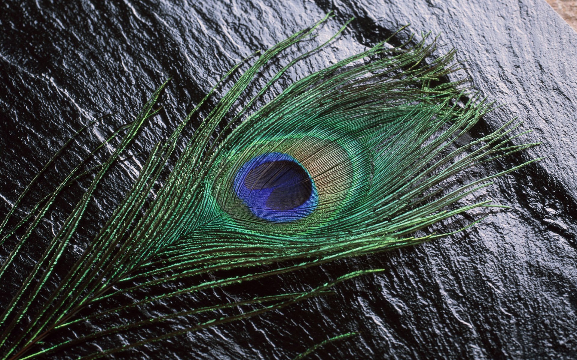 炫酷,另类,个性,简约