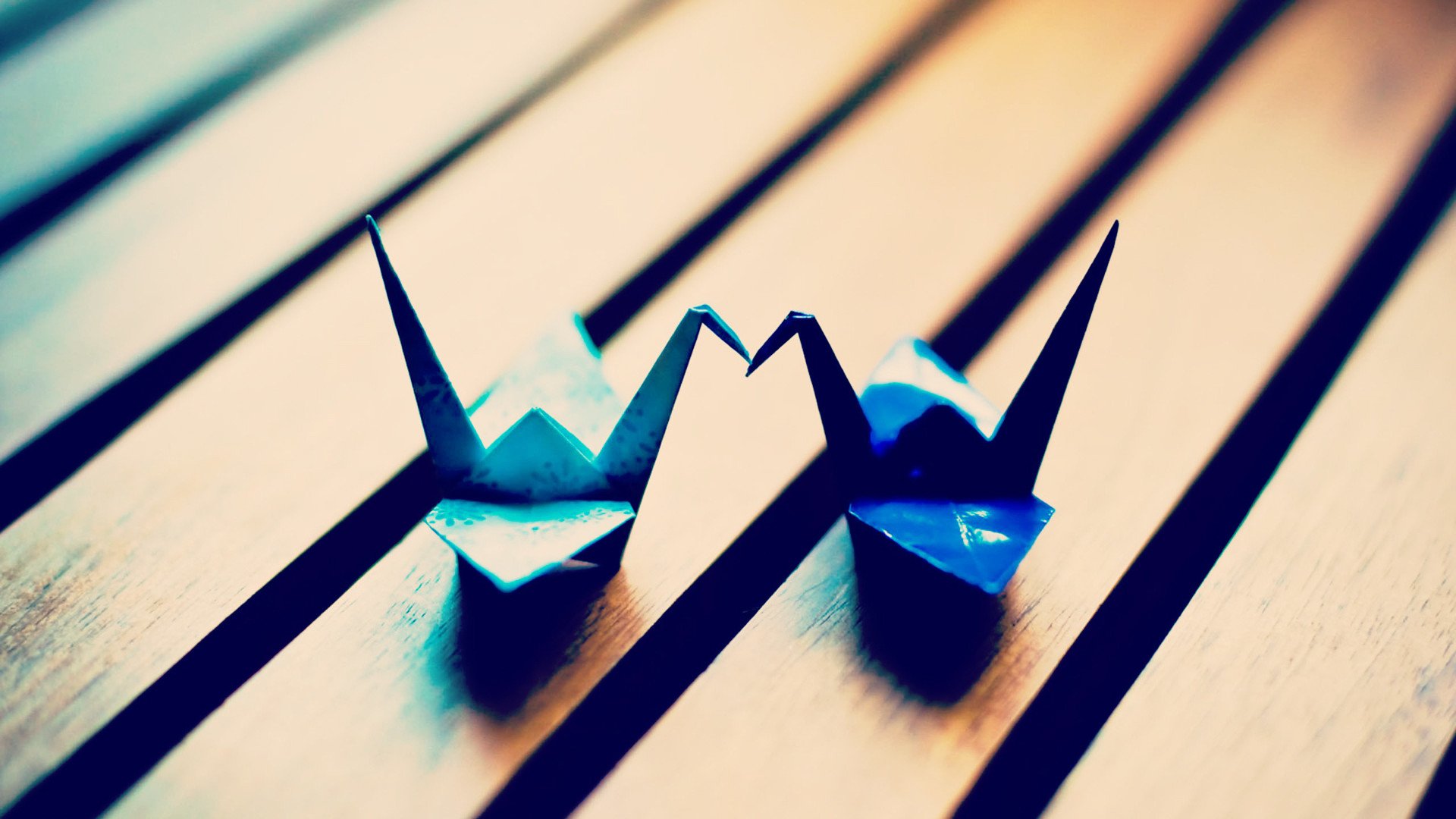 小清新,唯美,折纸,愿望,心愿,千纸鹤