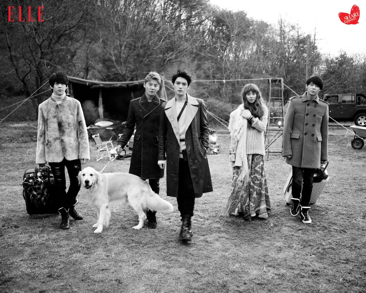 韩国,明星,组合,东方神起