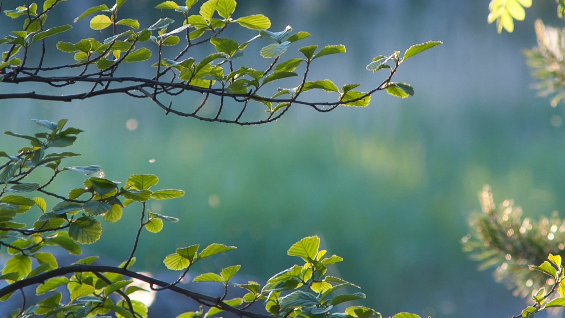 风景,自然风光,意境青山绿水