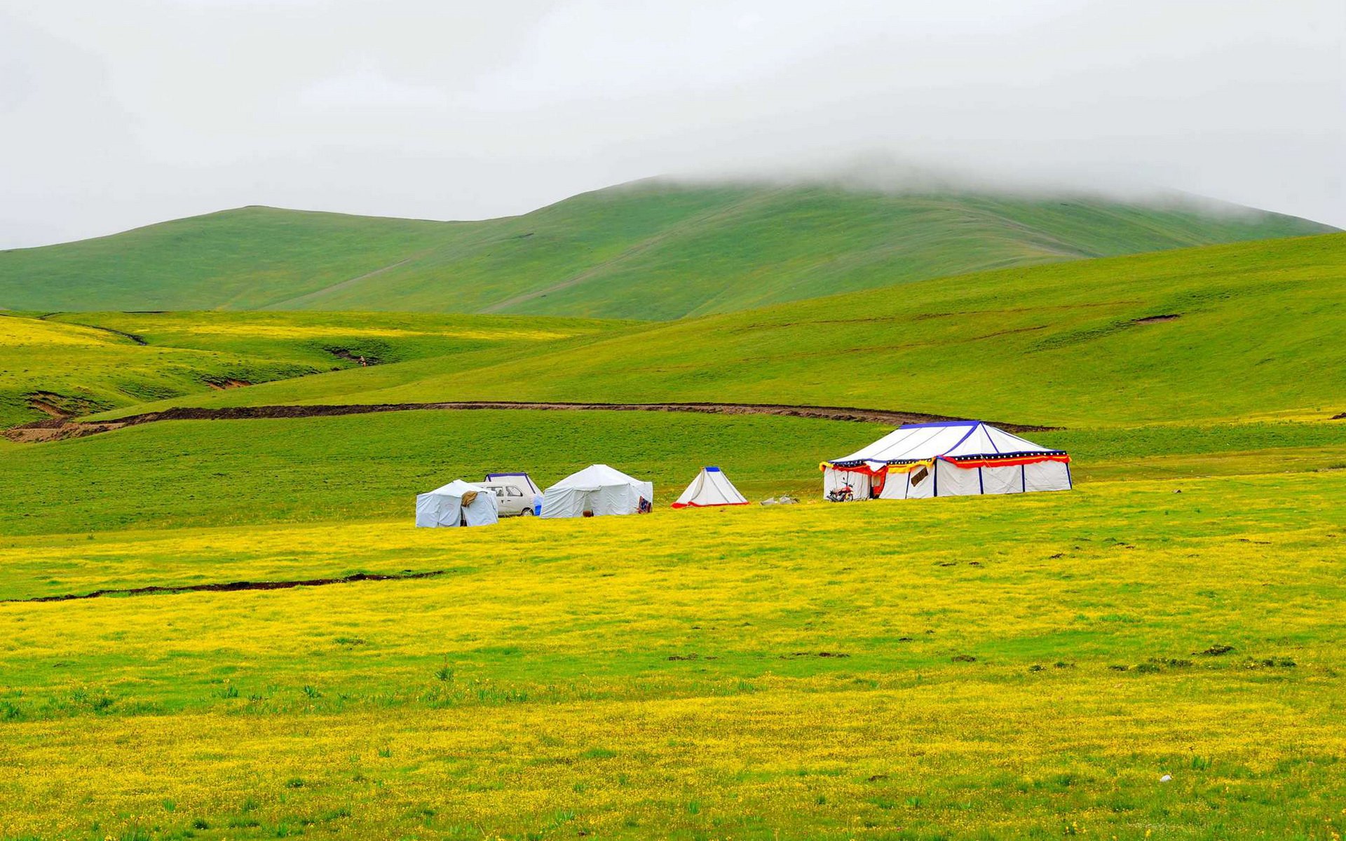 私人地理,风景,草原,摄影