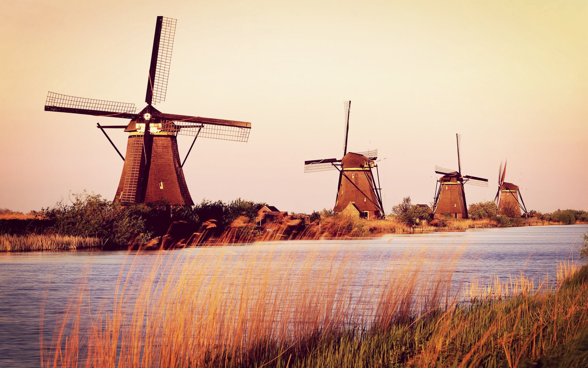 风景,自然风光,风车,唯美,意境,田园