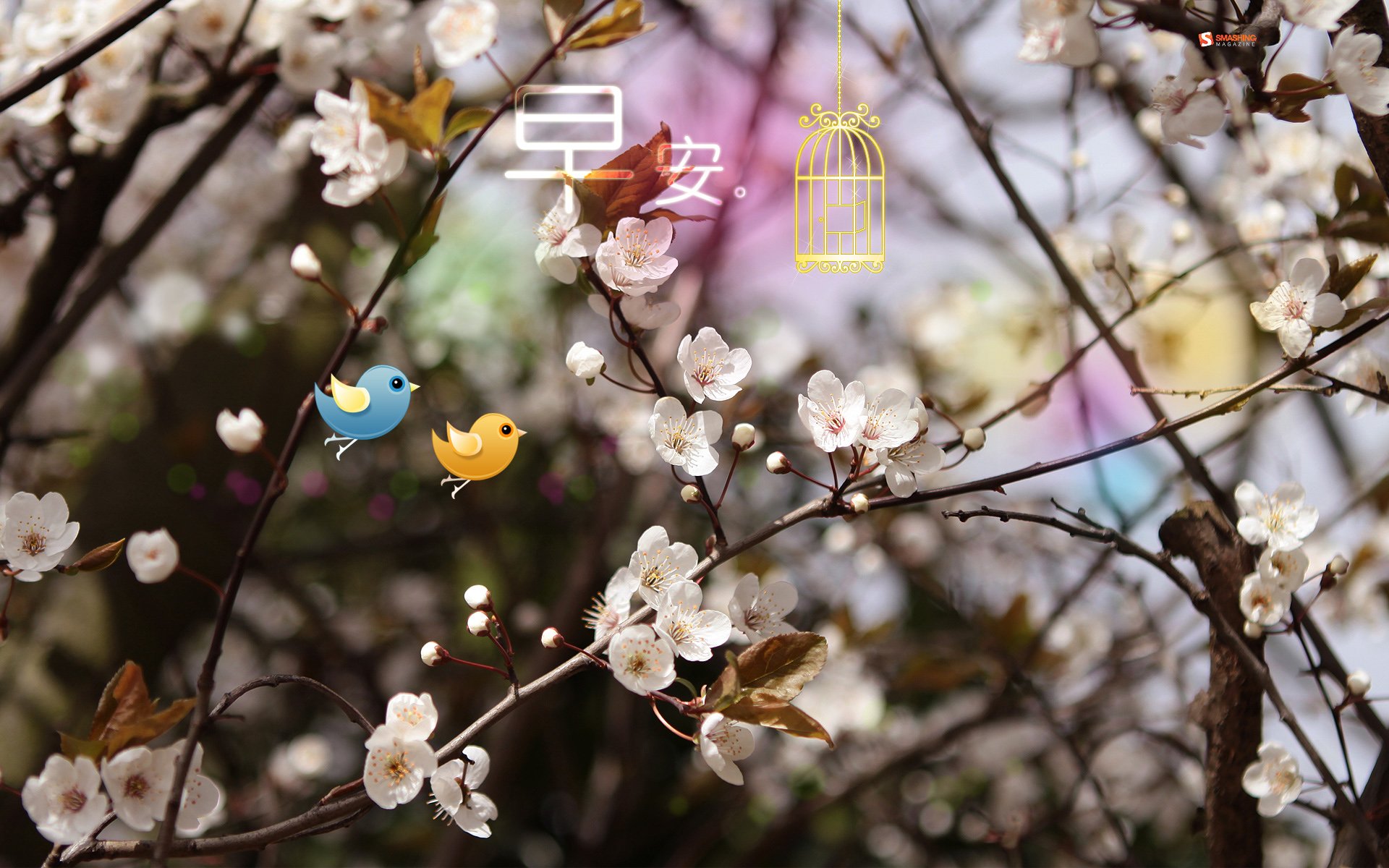 小清新,唯美,早安,温暖,温馨,幸福,鸟儿,花