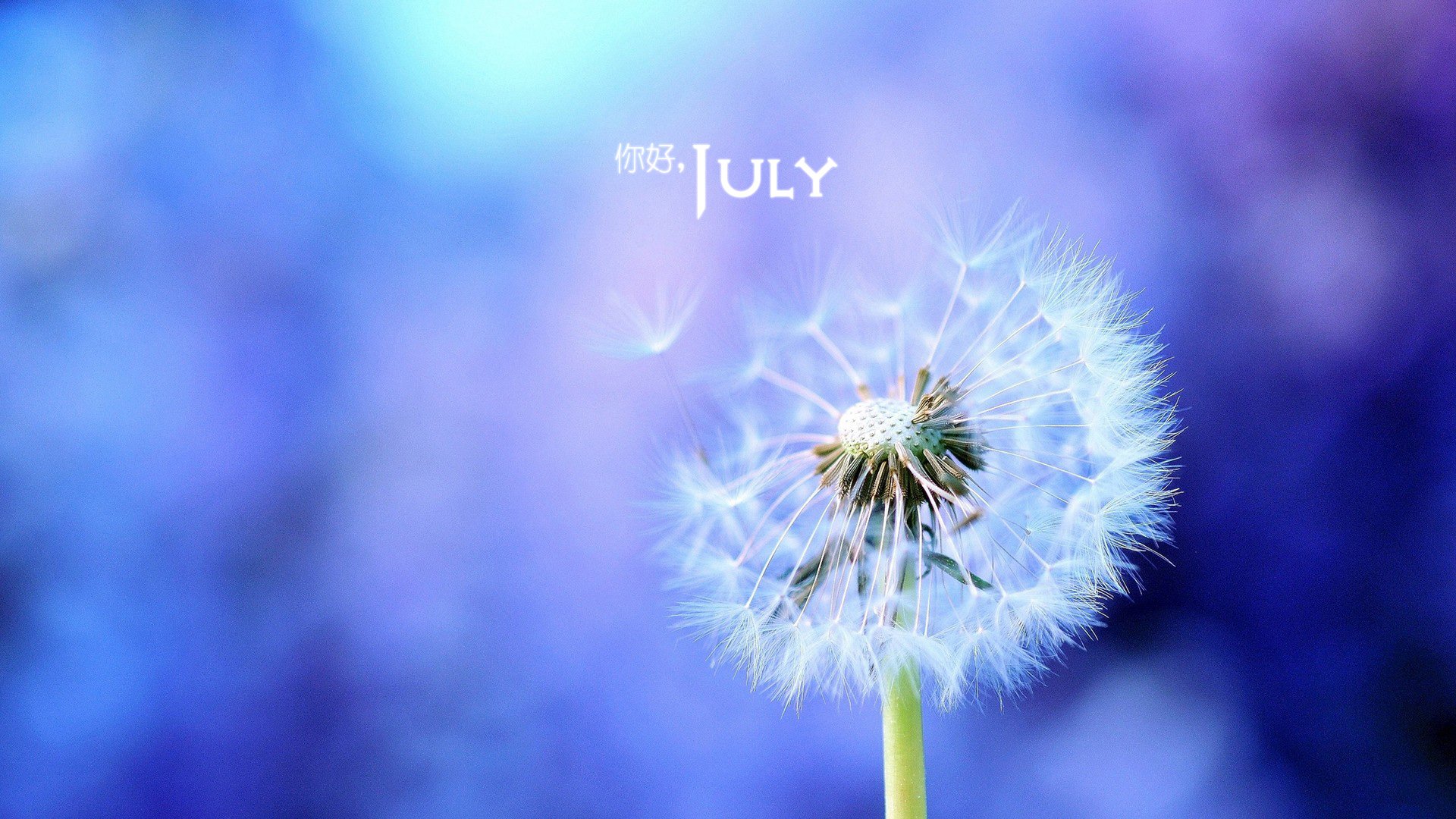 小清新,温暖,安静,七月,你好