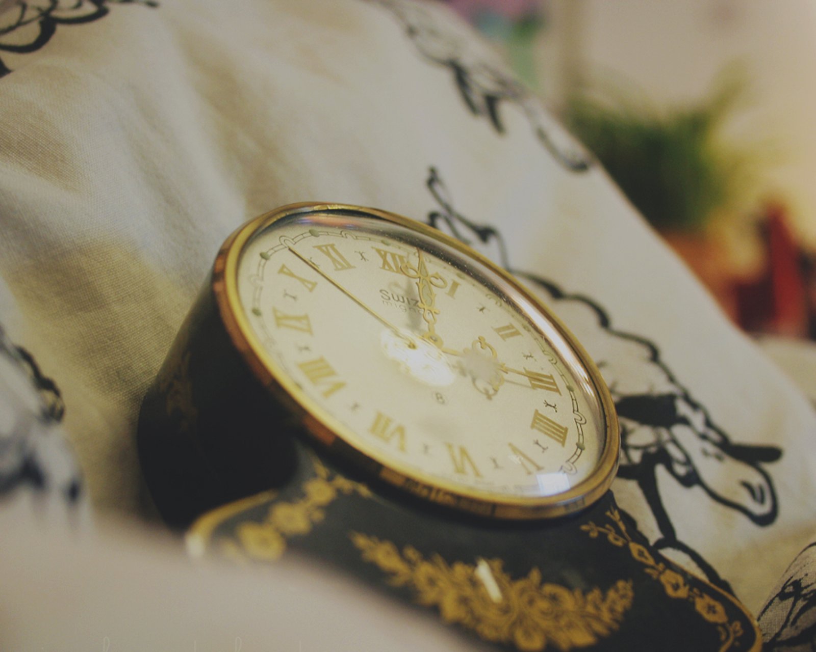 小清新,唯美,静物写真,温馨,物语,回忆