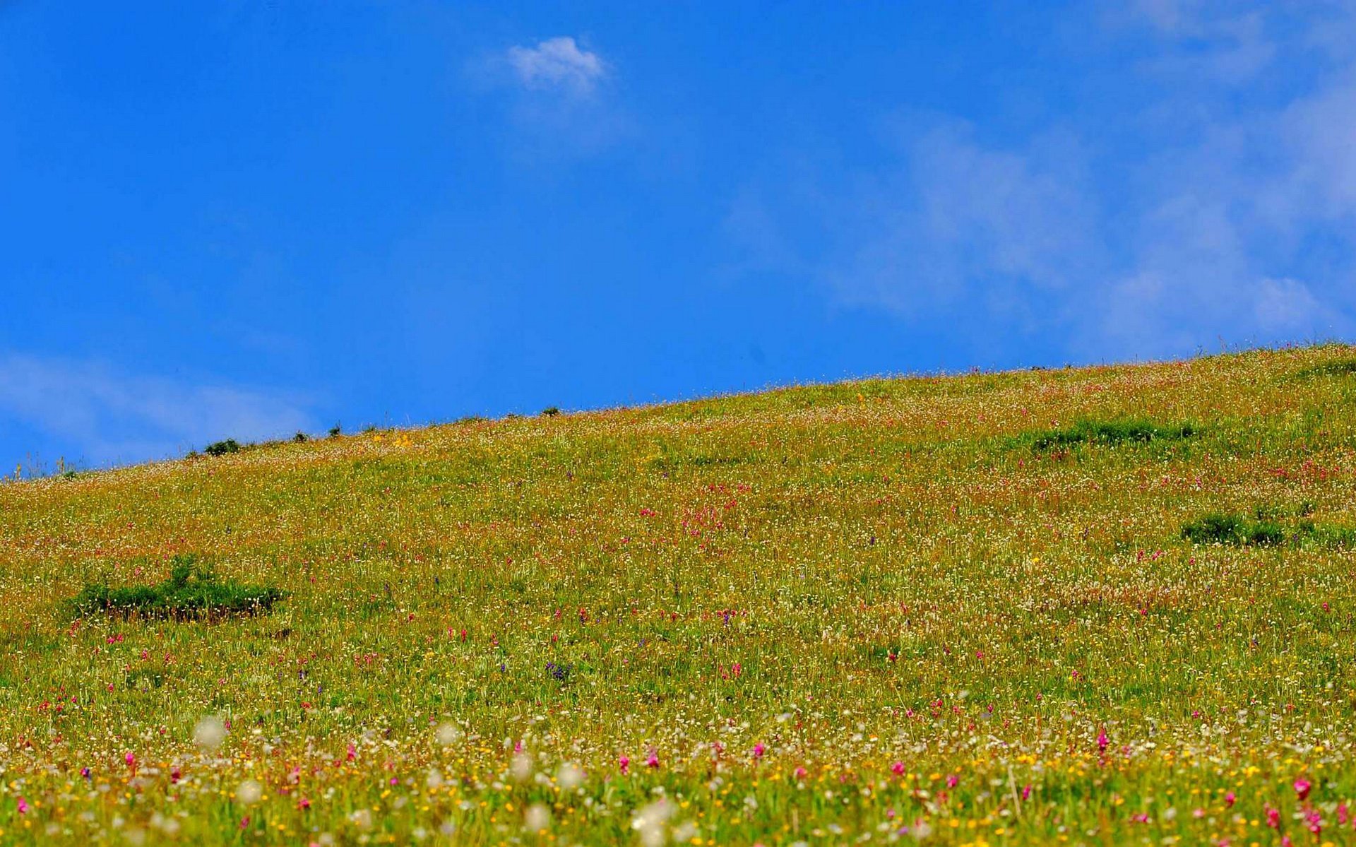 私人地理,风景,草原,摄影