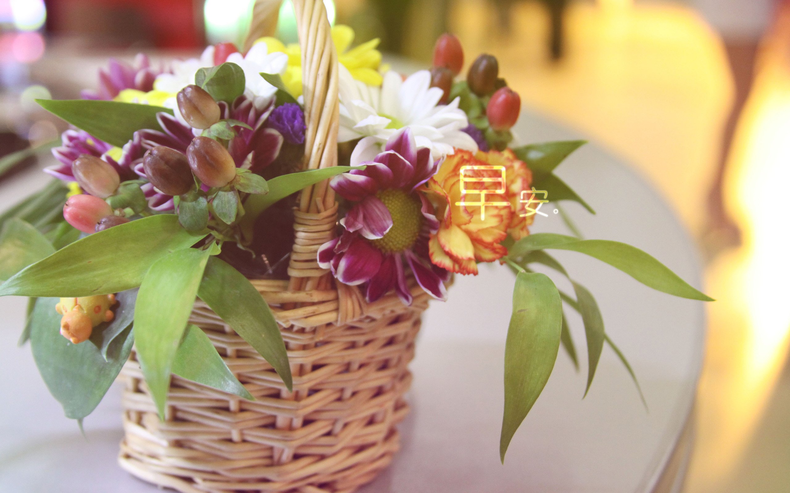 小清新,唯美,早安,温暖,温馨,幸福,花