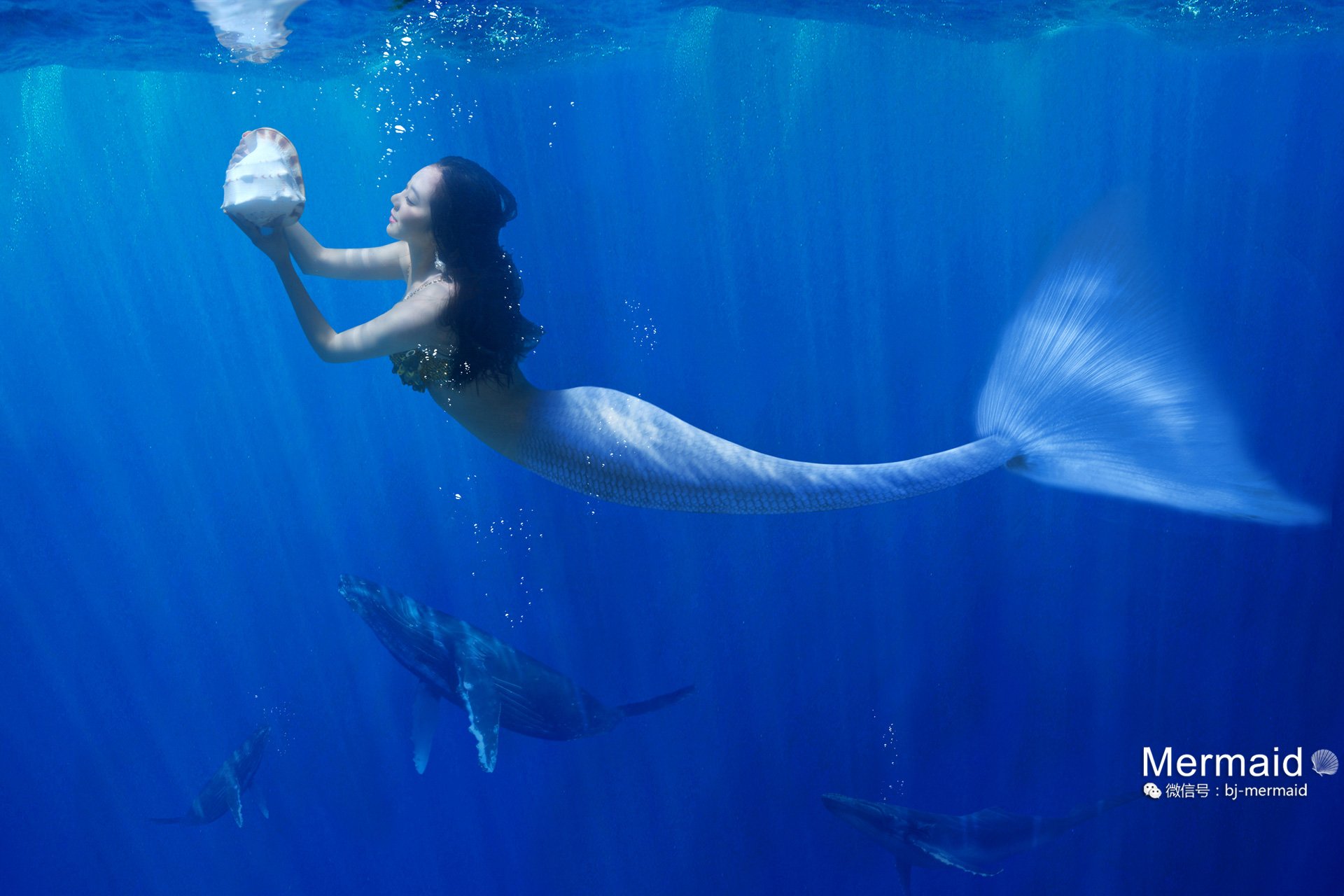 @美人鱼摄影工作室_摄影师翔子