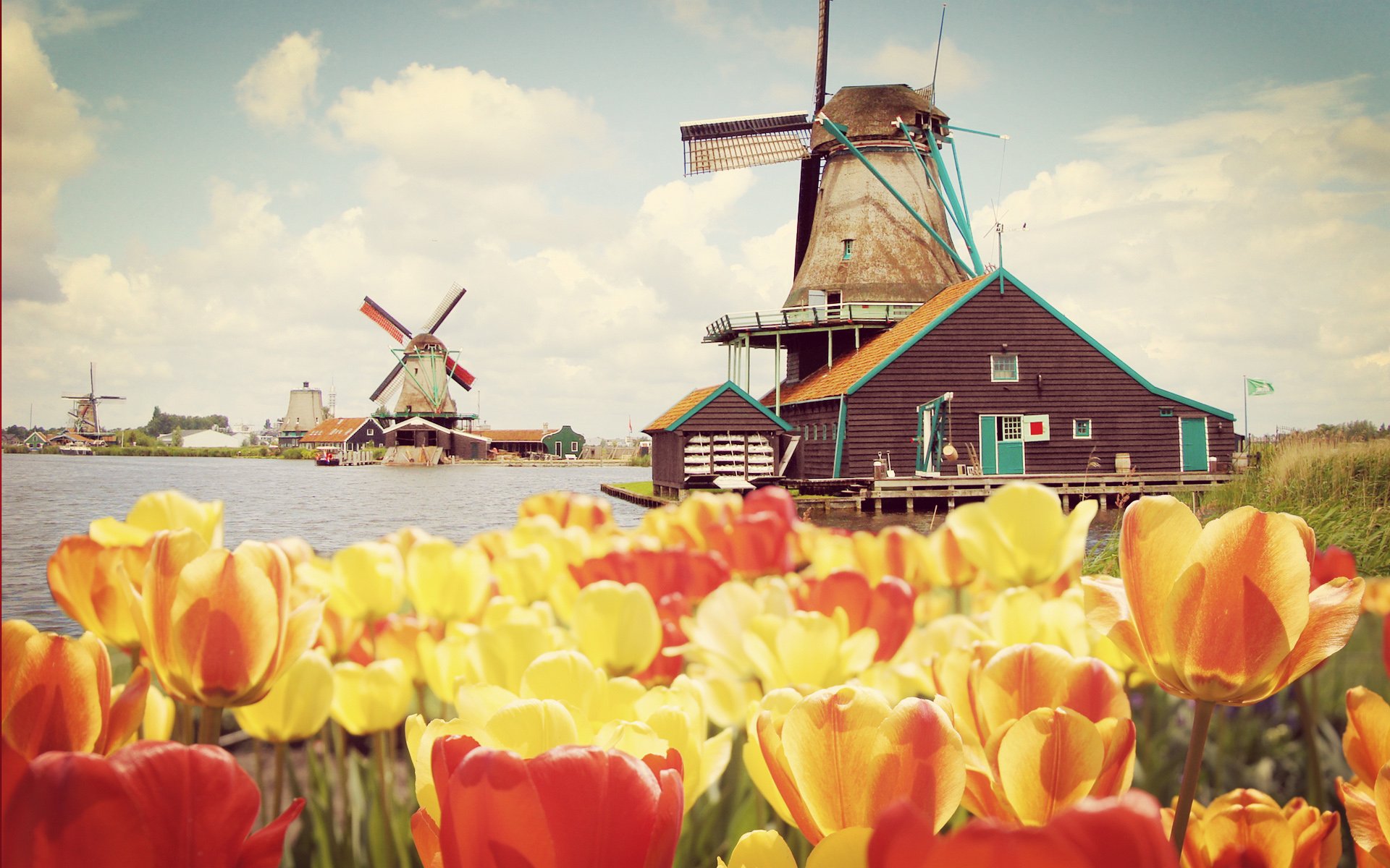 风景,自然风光,风车,唯美,意境,田园