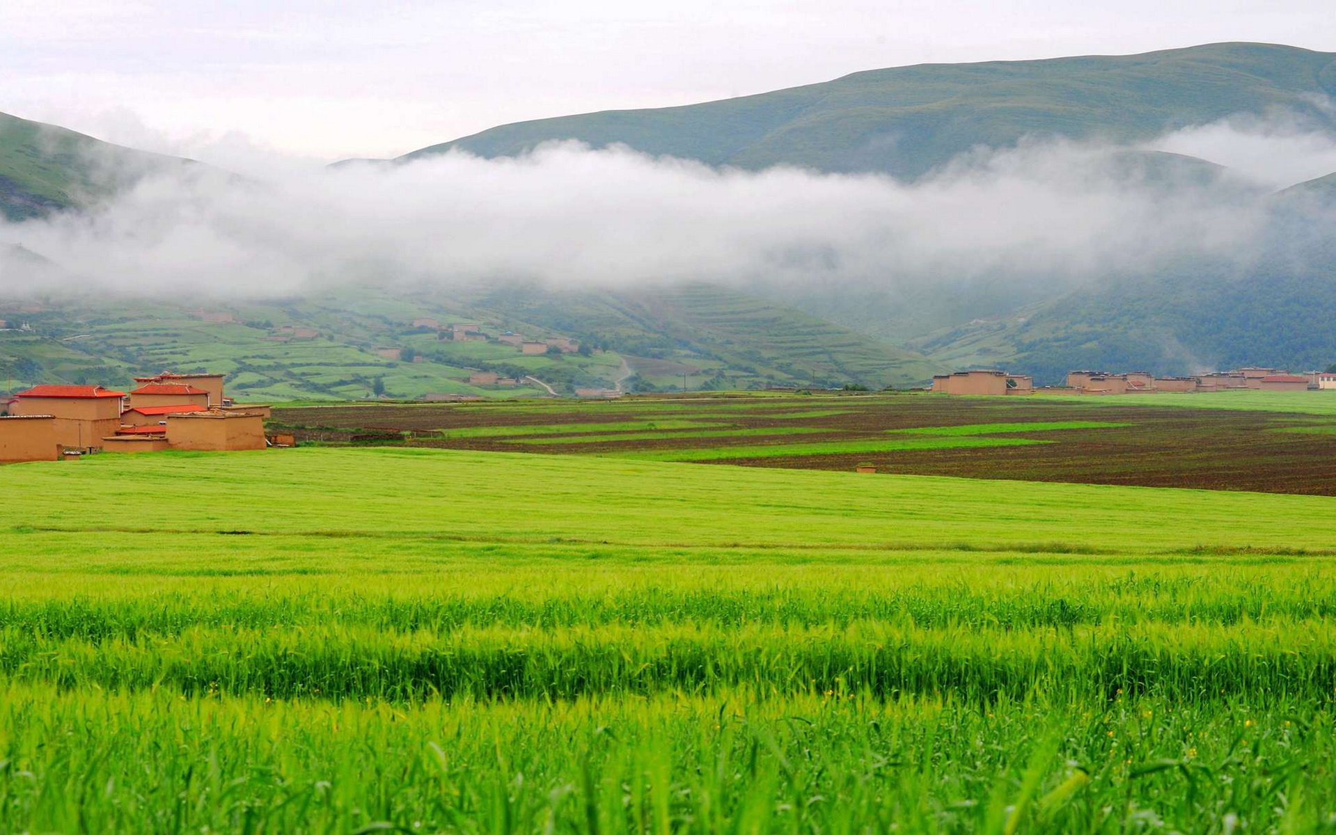 私人地理,风景,草原,摄影