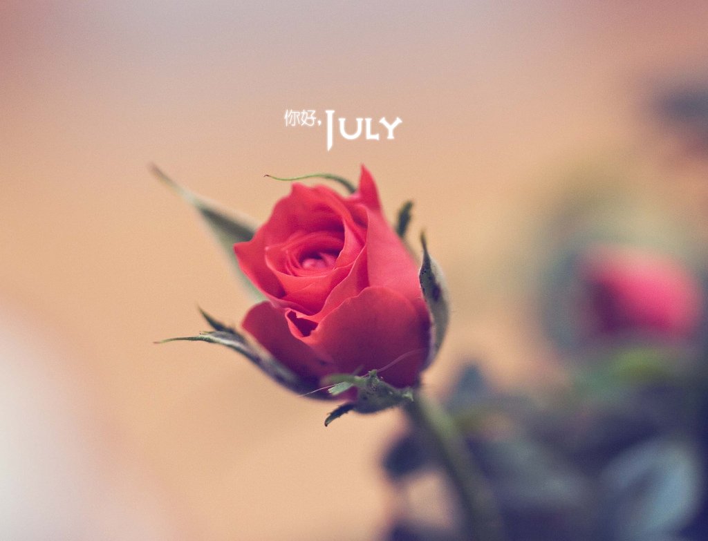 小清新,温暖,安静,七月,你好
