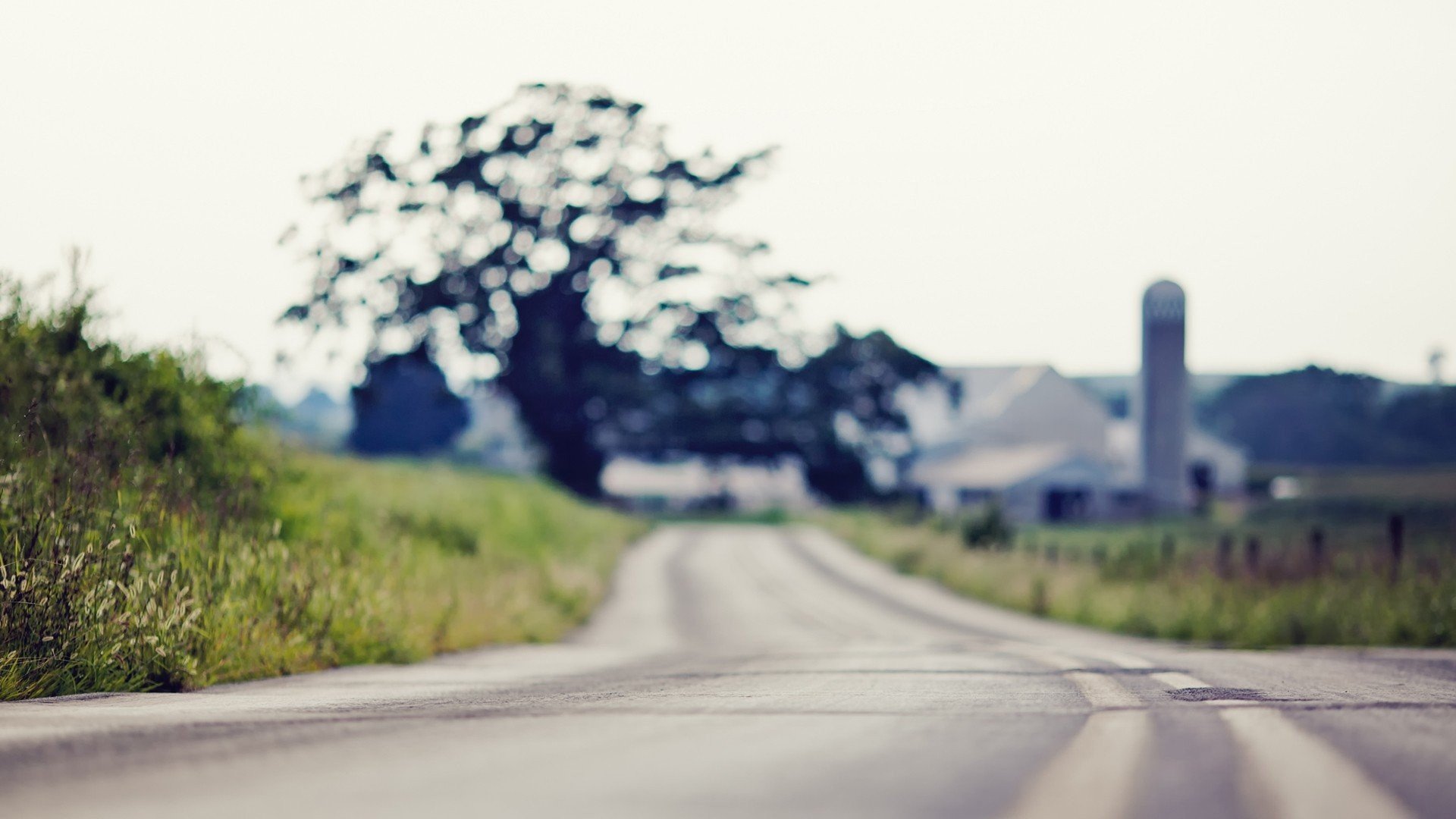 风景,公路,路,远方