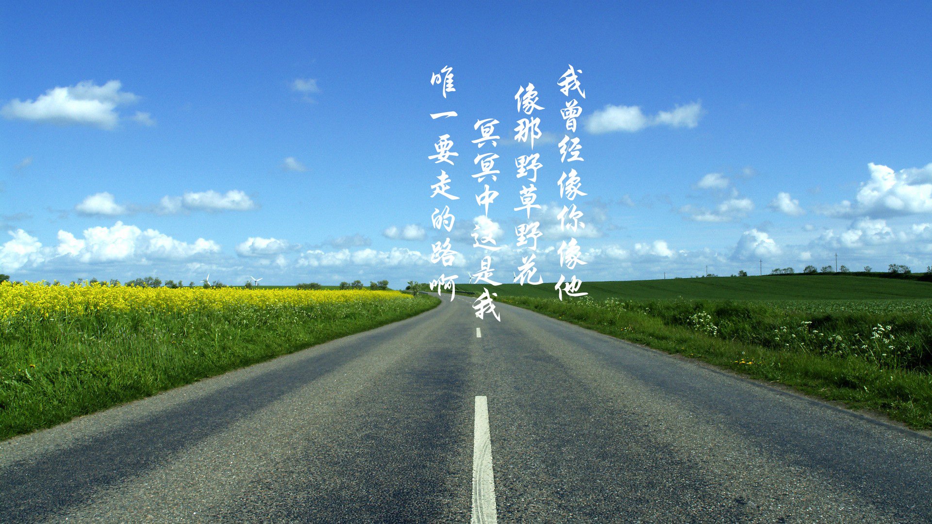 文字控,平凡之路,励志,奋斗,正能量,朴树,韩寒,后会无期,路,文字