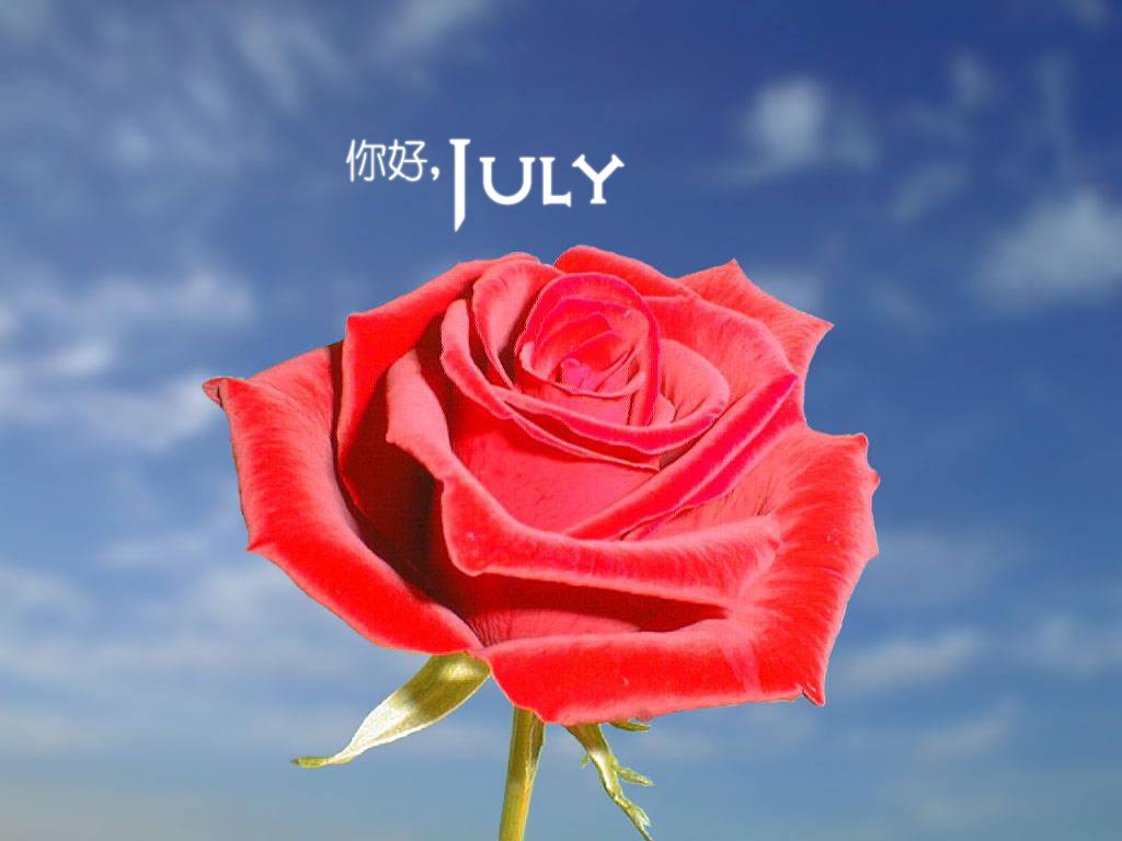 小清新,温暖,安静,七月,你好