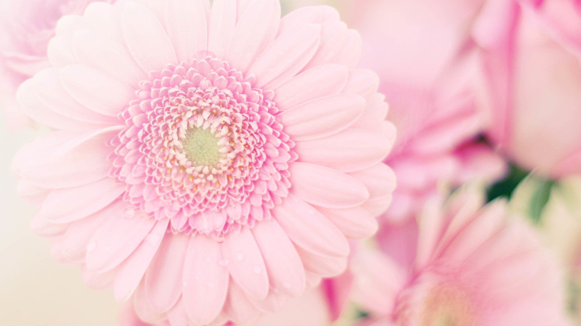 小清新,温暖,安静,七月,你好