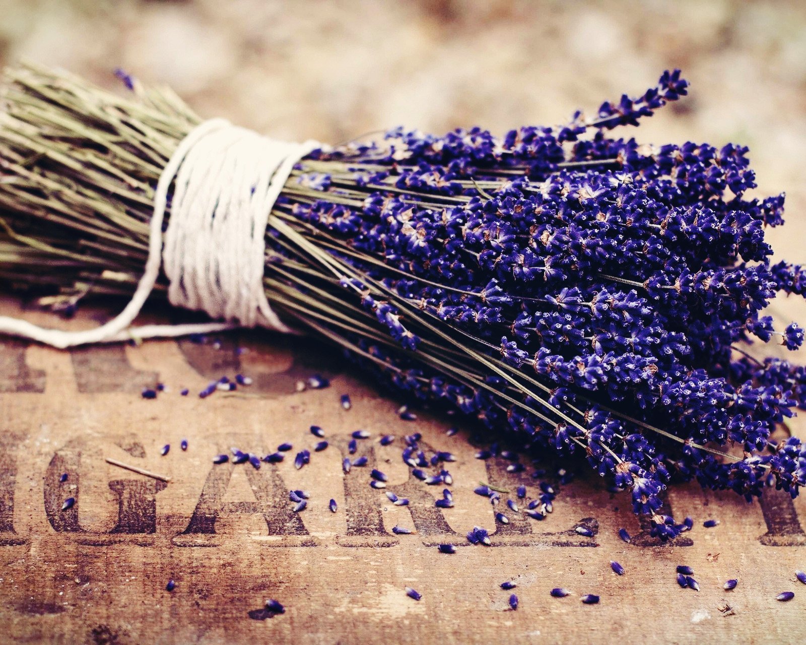 小清新,唯美,薰衣草,风景,植物,等待爱情,紫色