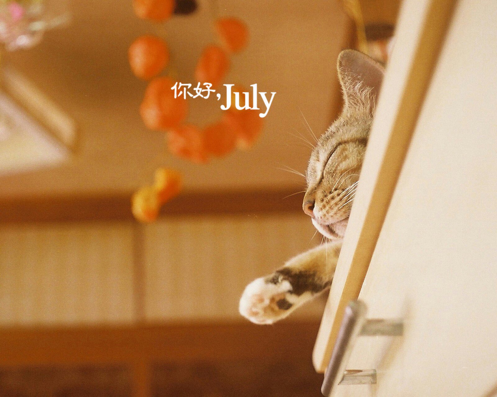 小清新,温暖,安静,七月,你好