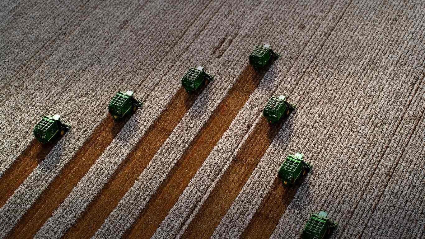 风景,自然风光,意境,炎炎夏日,收获