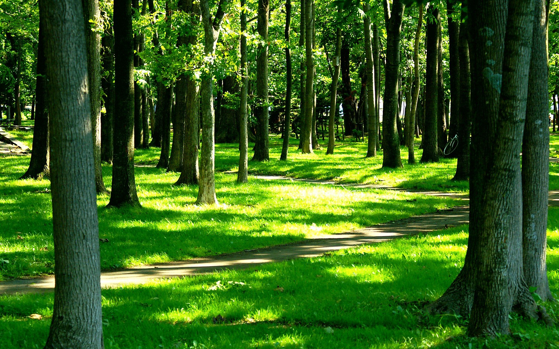 小清新,唯美,温馨,安静,绿色养眼,植物