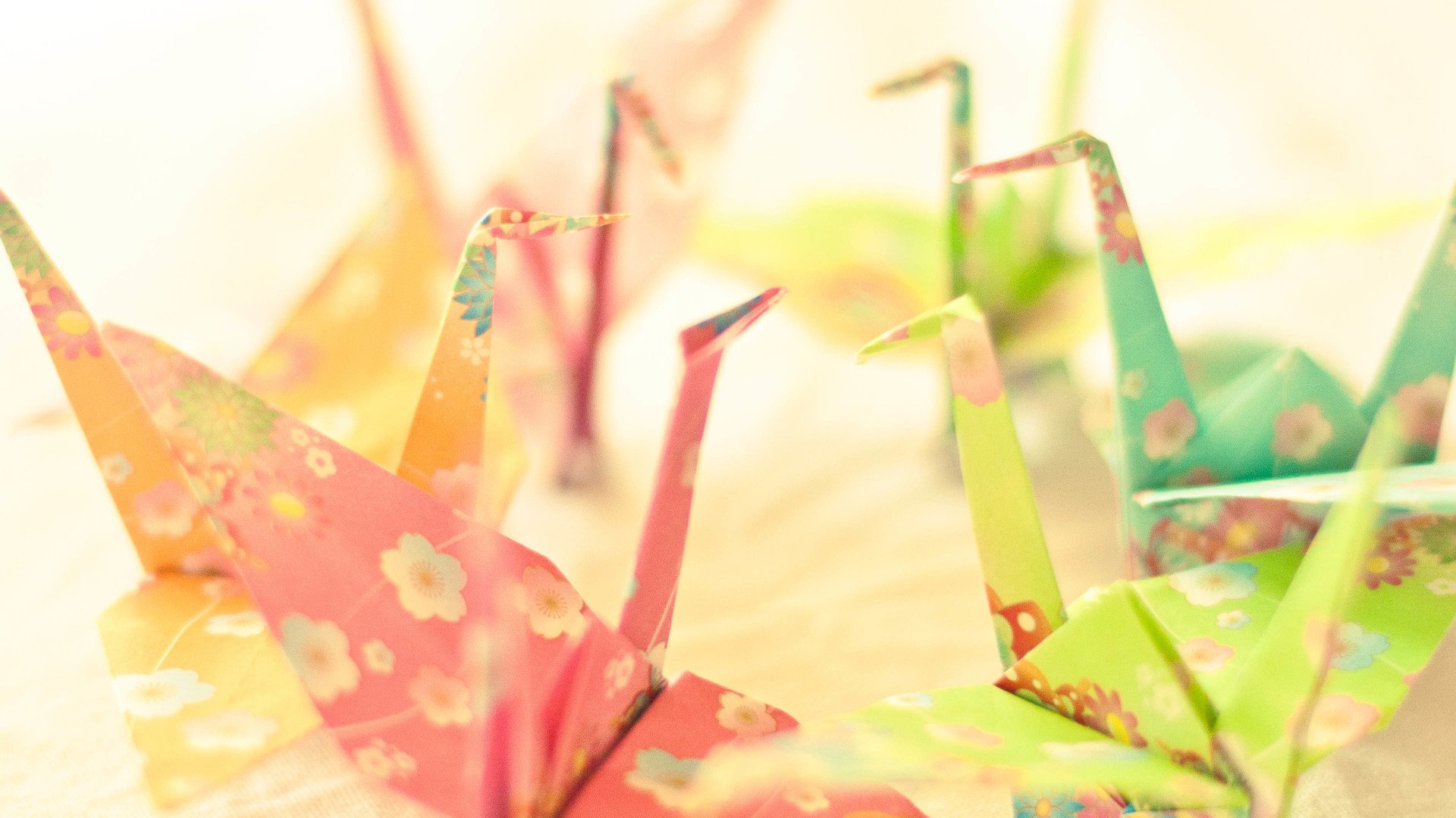 小清新,唯美,折纸,愿望,心愿,千纸鹤