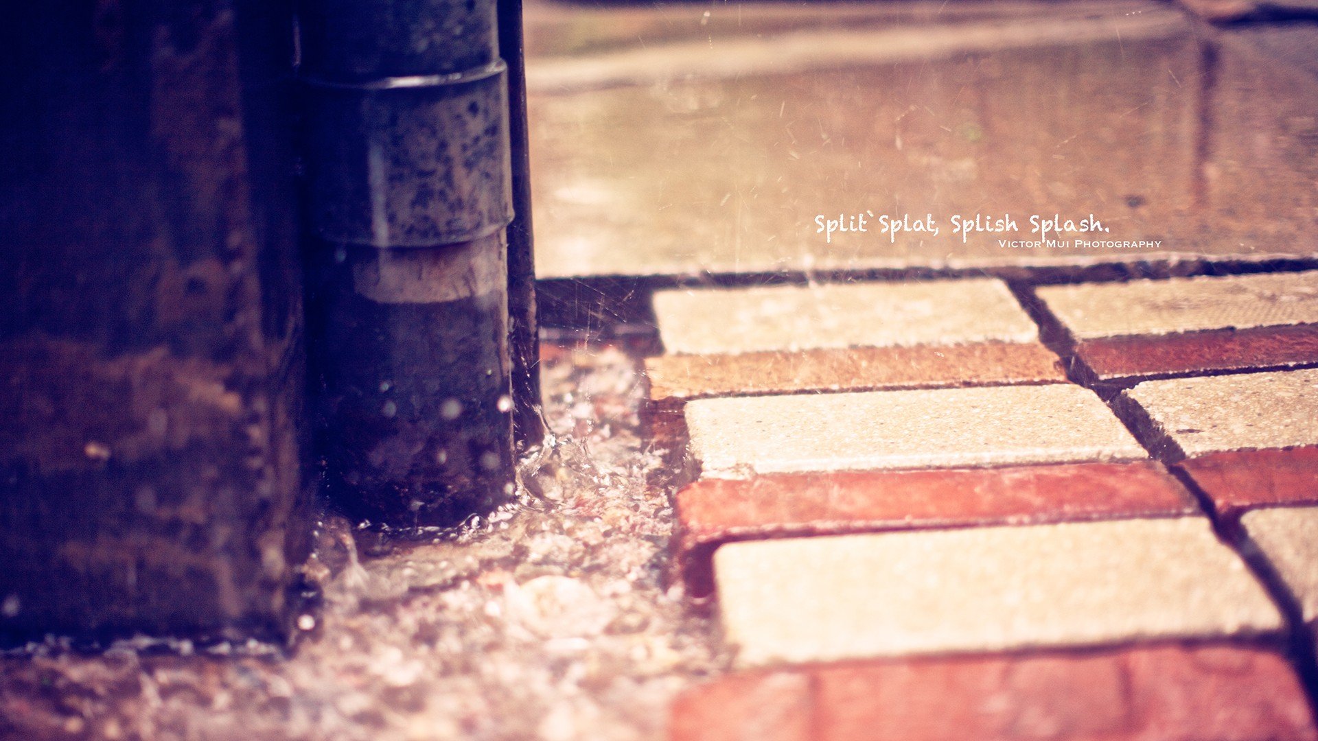 小清新,唯美,温馨,安静