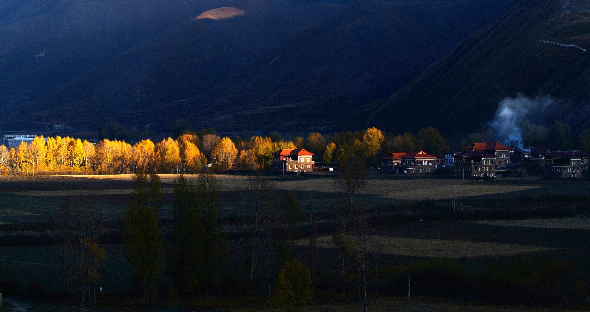 风景,自然风光,小镇,田园,房子,唯美,春意盎然,炎炎夏日