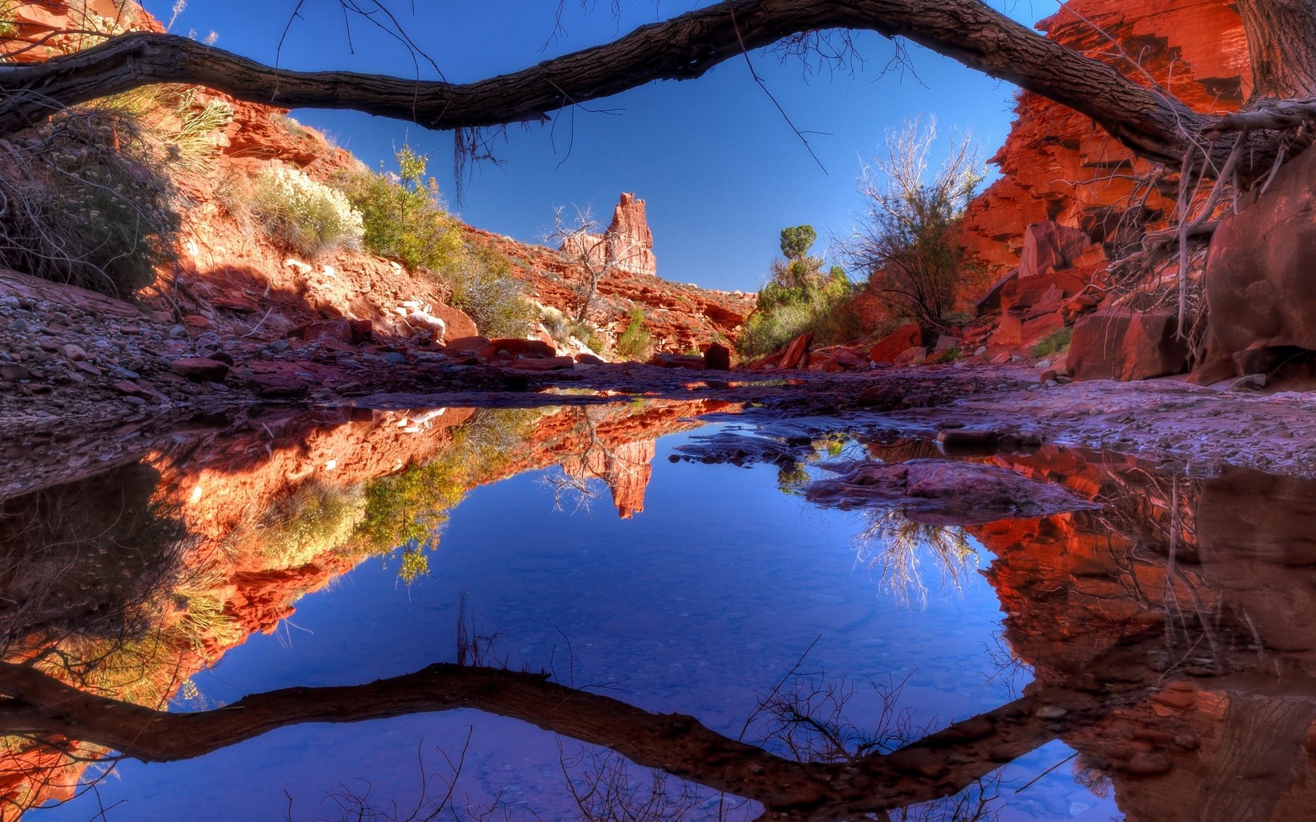 风景,自然风光,意境,炎炎夏日,山水