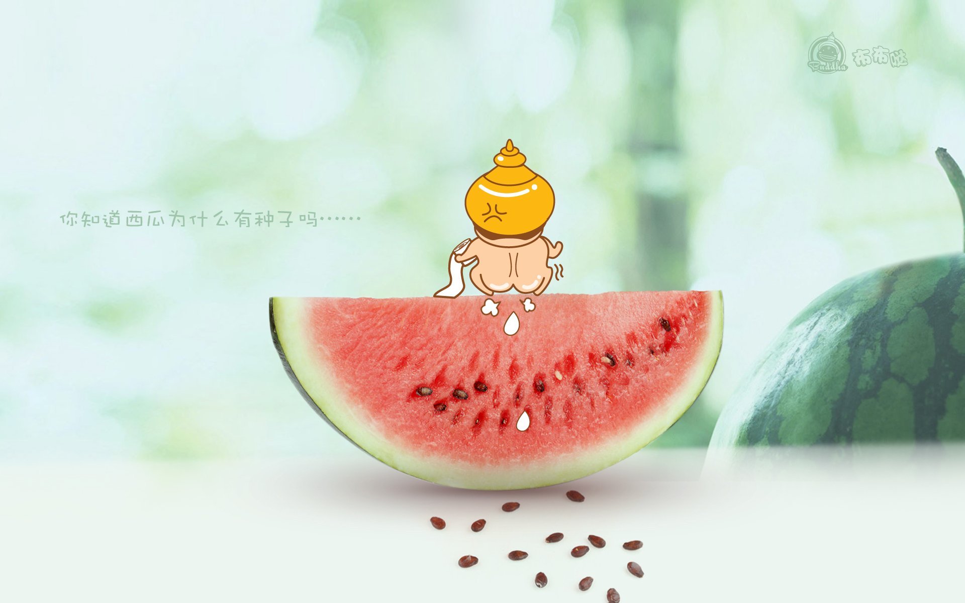 布布哒,搞笑,可爱