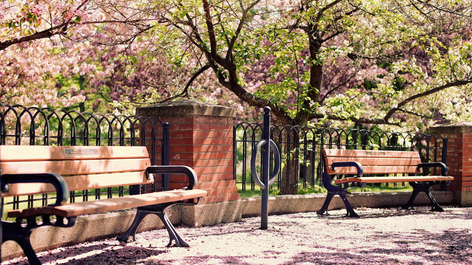 小清新,唯美,温馨,安静,椅子