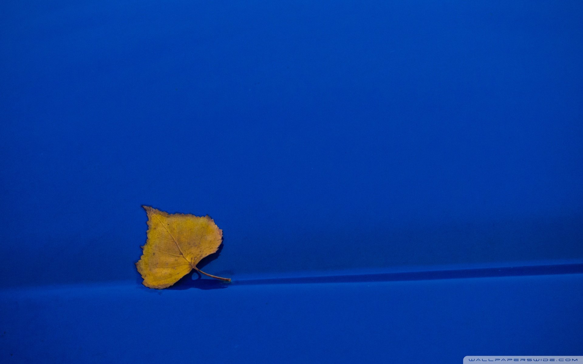 炫酷,另类,个性,简约,叶子