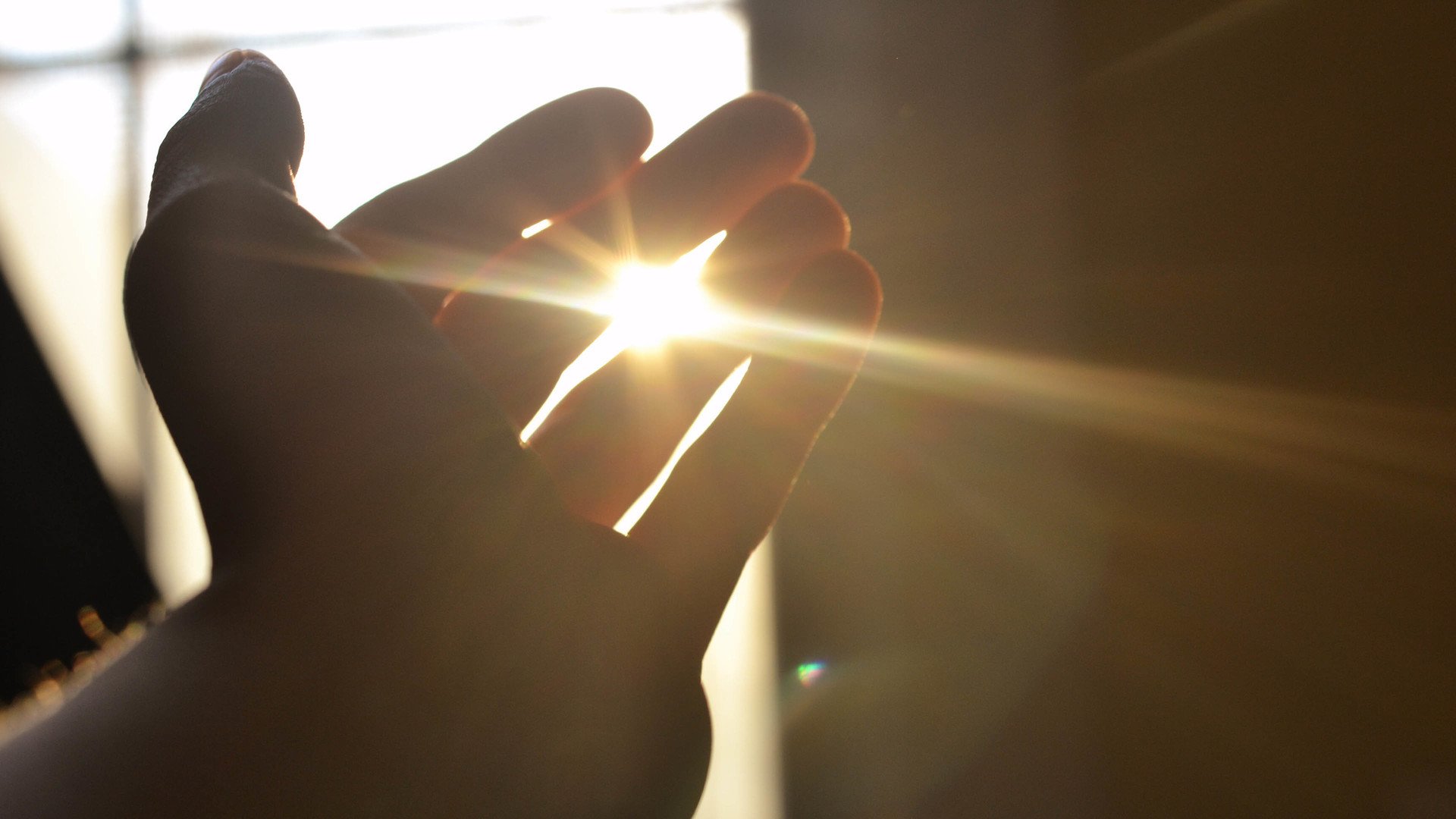 小清新,唯美,麦苗,麦田,丰收,夕阳,秋天