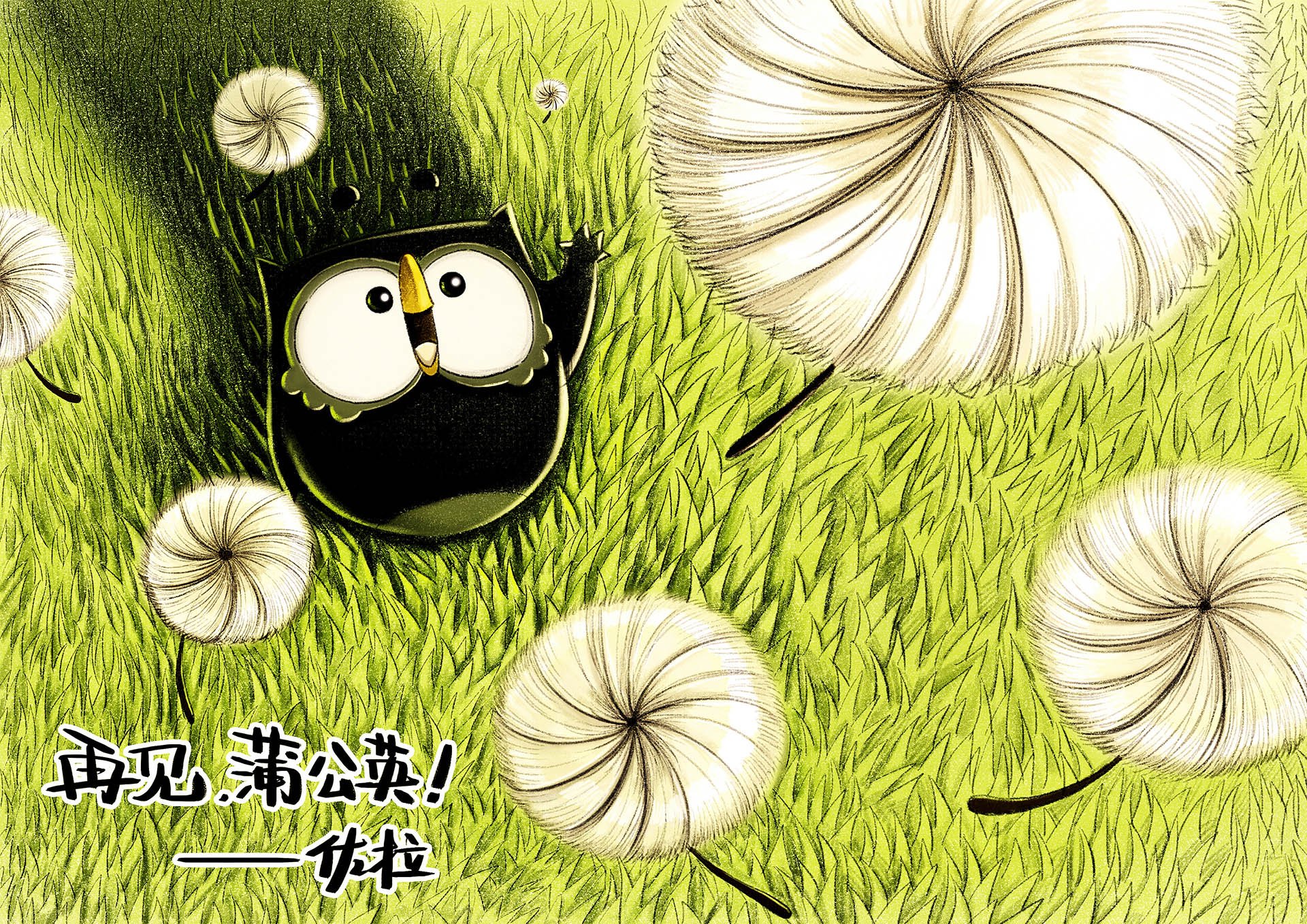 猫头鹰佐拉,文字,励志,正能量,心灵鸡汤