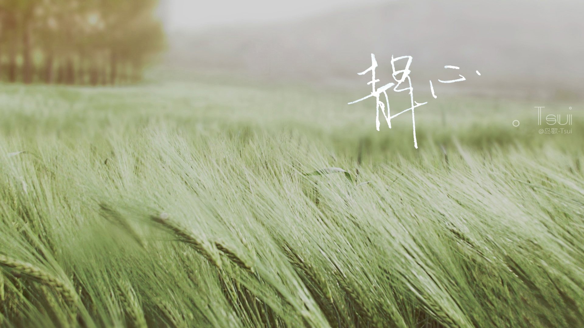 文字控,手写,岛歌,@岛歌-Tsui,文字