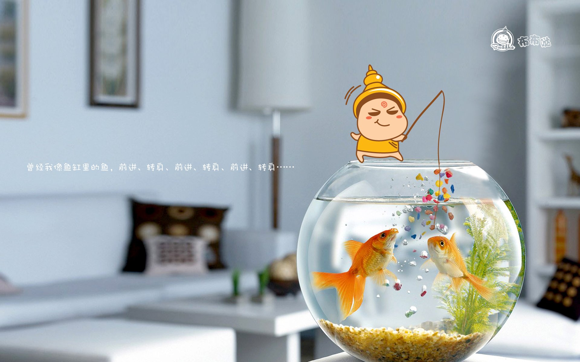 布布哒,搞笑,可爱