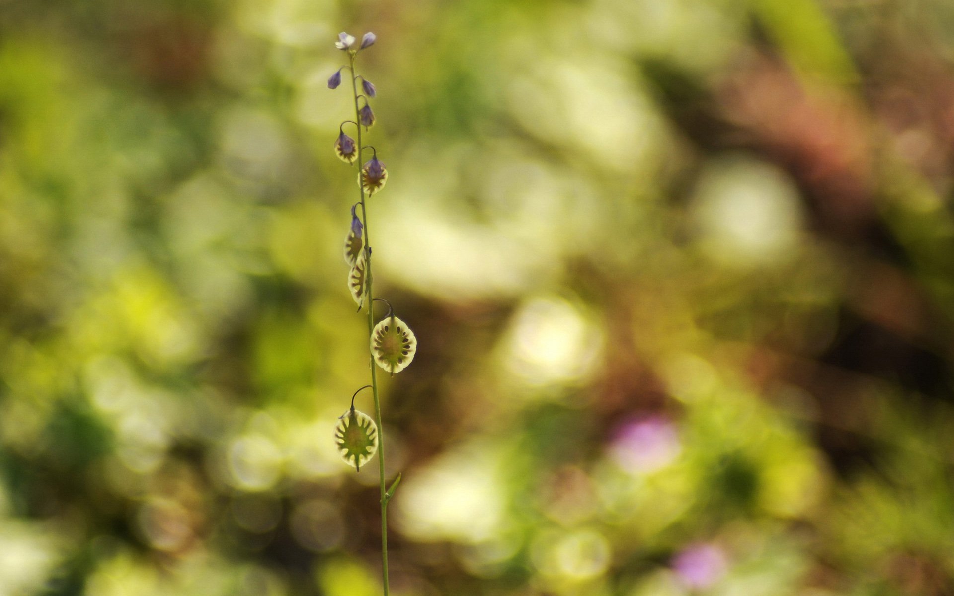 小清新,唯美,温馨,安静