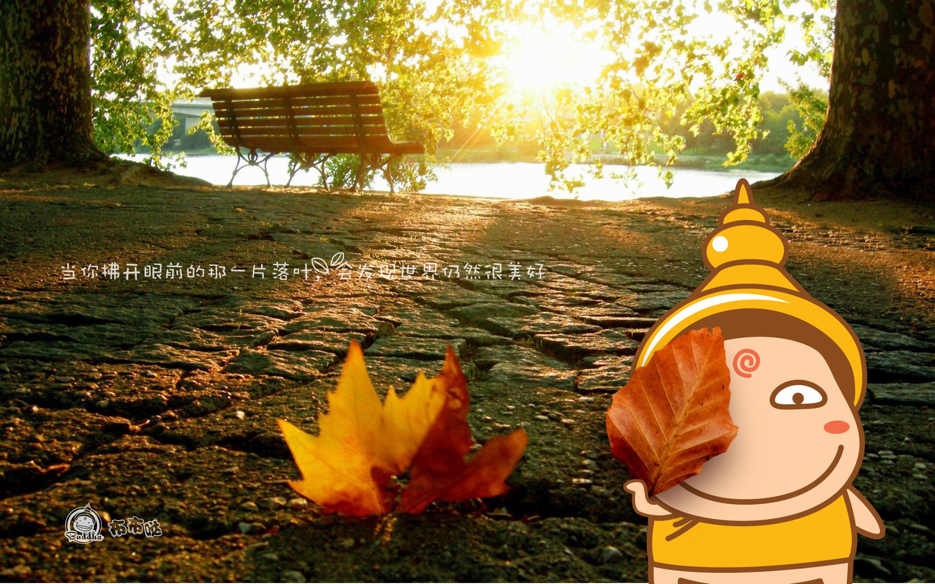 布布哒,搞笑,可爱