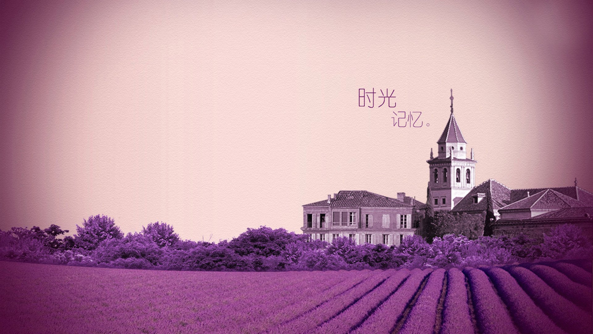 小清新,唯美,薰衣草,风景,植物,等待爱情,紫色