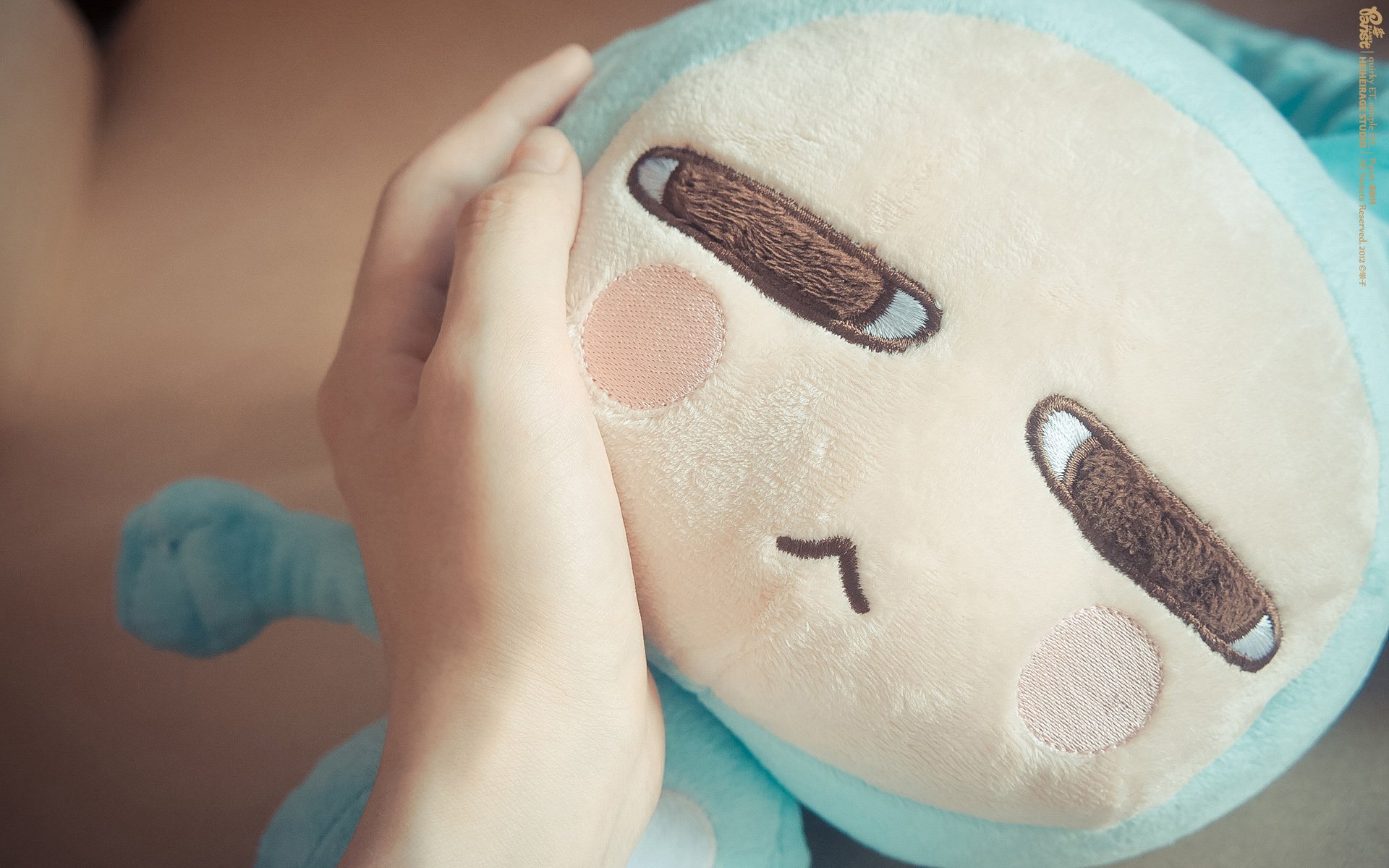 小清新,唯美,静物写真,温馨,物语,回忆,熊