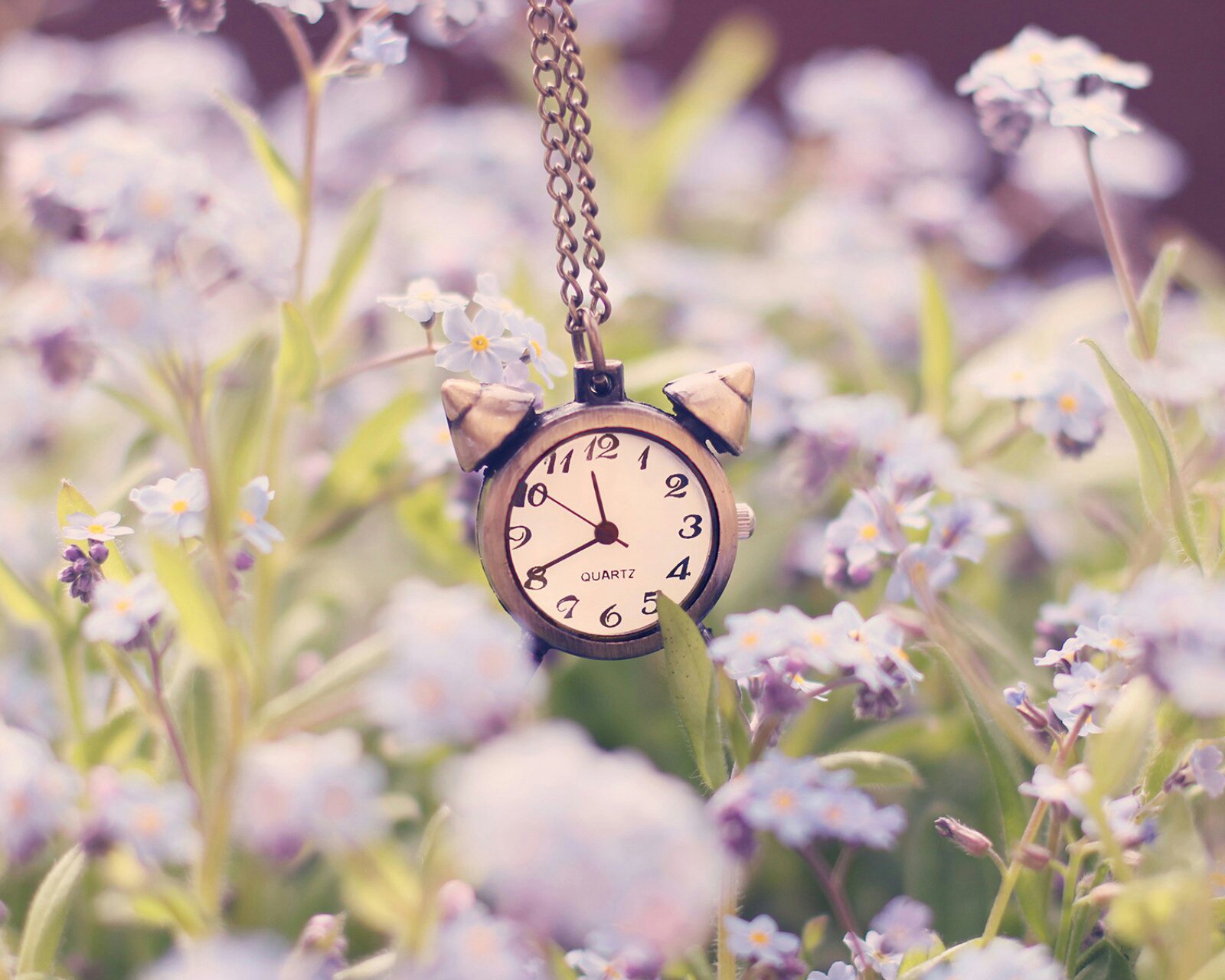 小清新,唯美,静物写真,温馨,物语,回忆,掌心