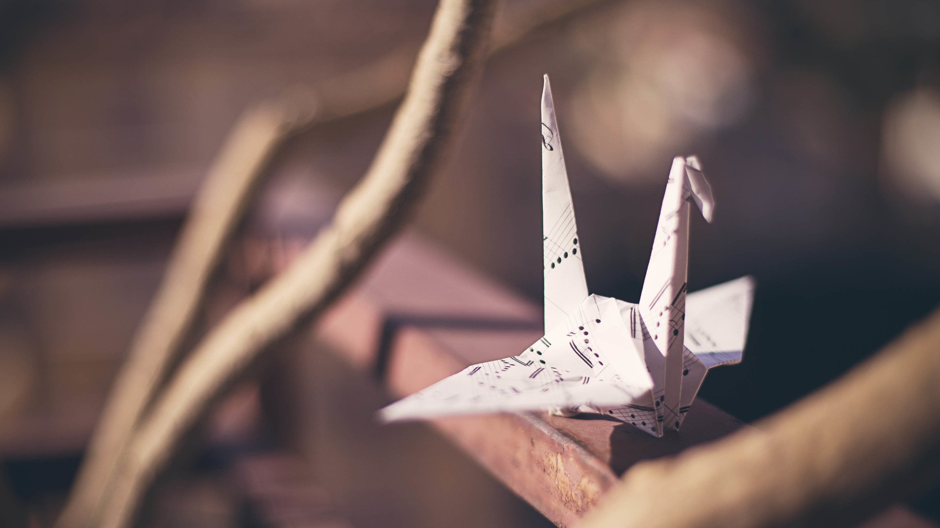 小清新,唯美,折纸,愿望,心愿,千纸鹤