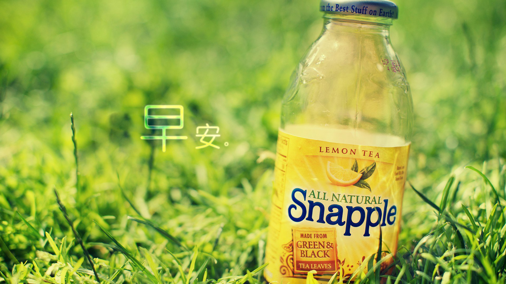 小清新,唯美,草地,瓶子