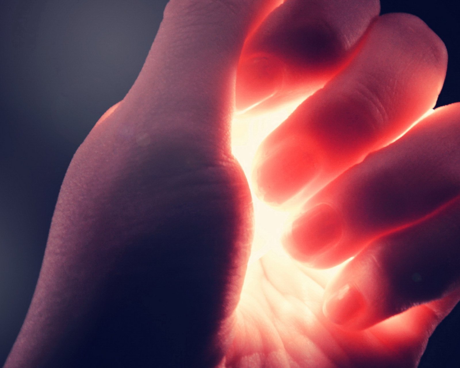 小清新,唯美,静物写真,温馨,物语,回忆,小花