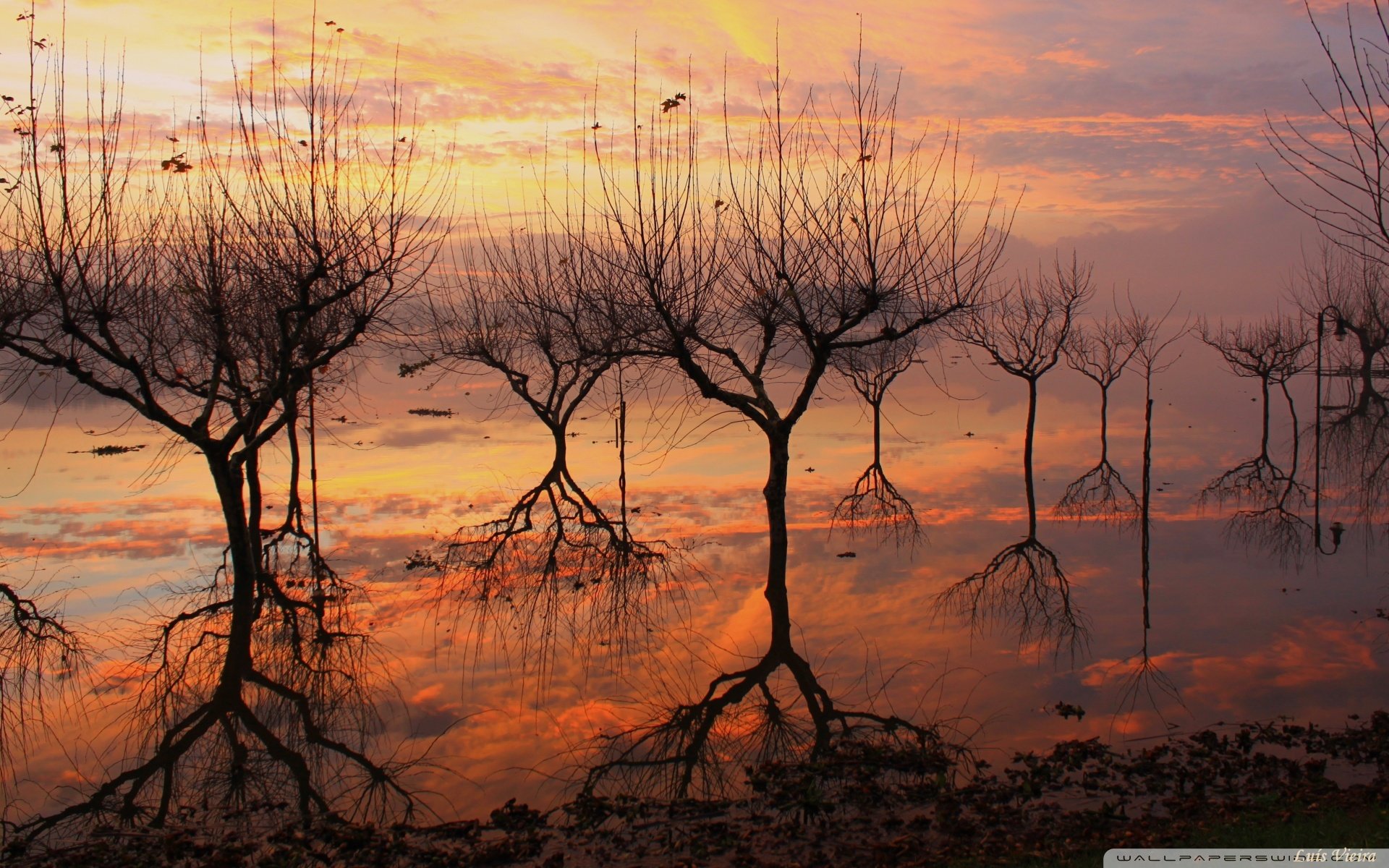 小清新,唯美,干枯,生命,坚强,顽强