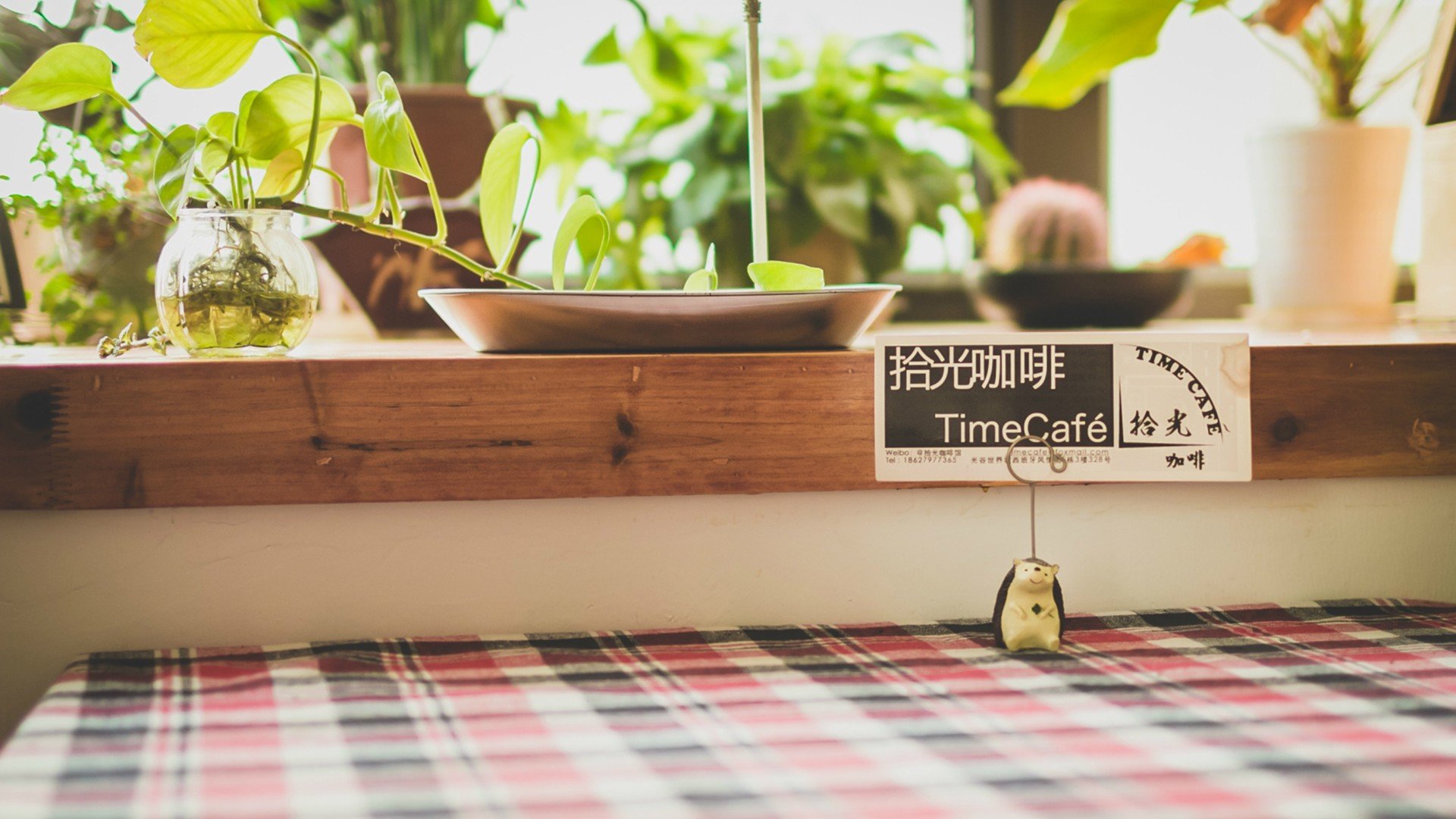 小清新,唯美,静物写真,温馨,物语,回忆,日历