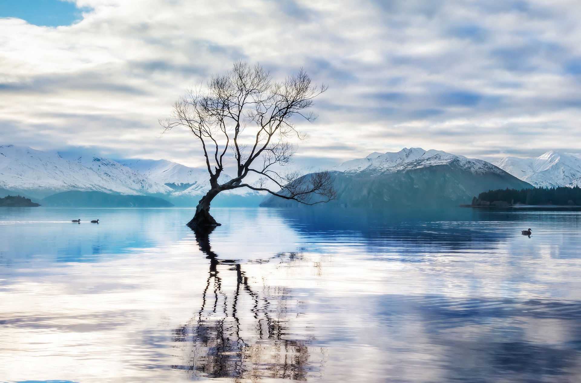 小清新,唯美,干枯,生命,坚强,顽强