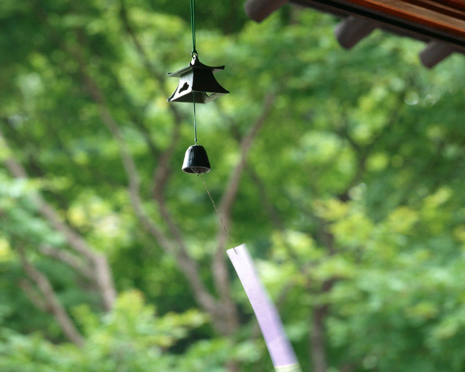 小清新,唯美,静物写真,温馨,物语,回忆,泡泡