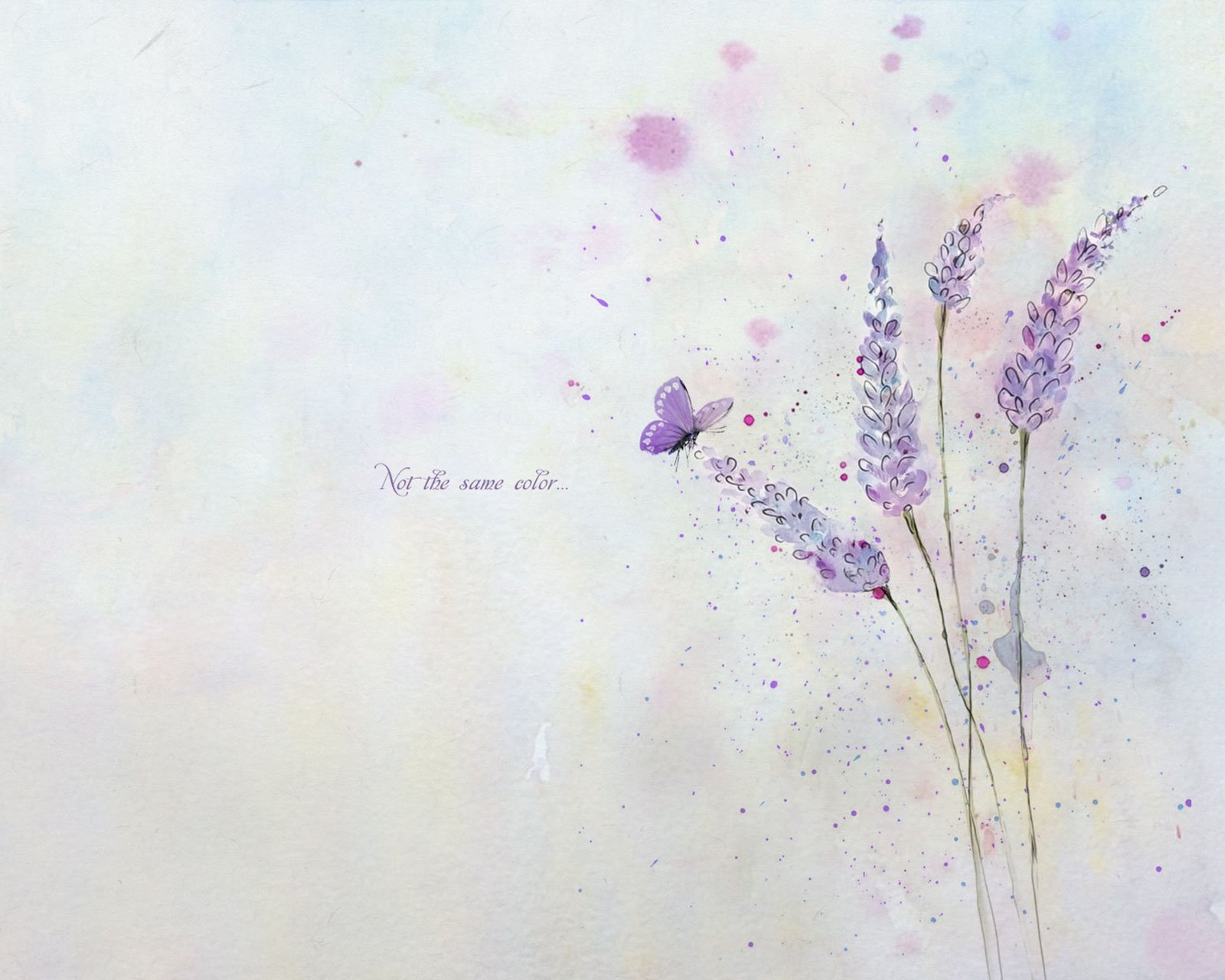 小清新,唯美,薰衣草,风景,植物,等待爱情,紫色