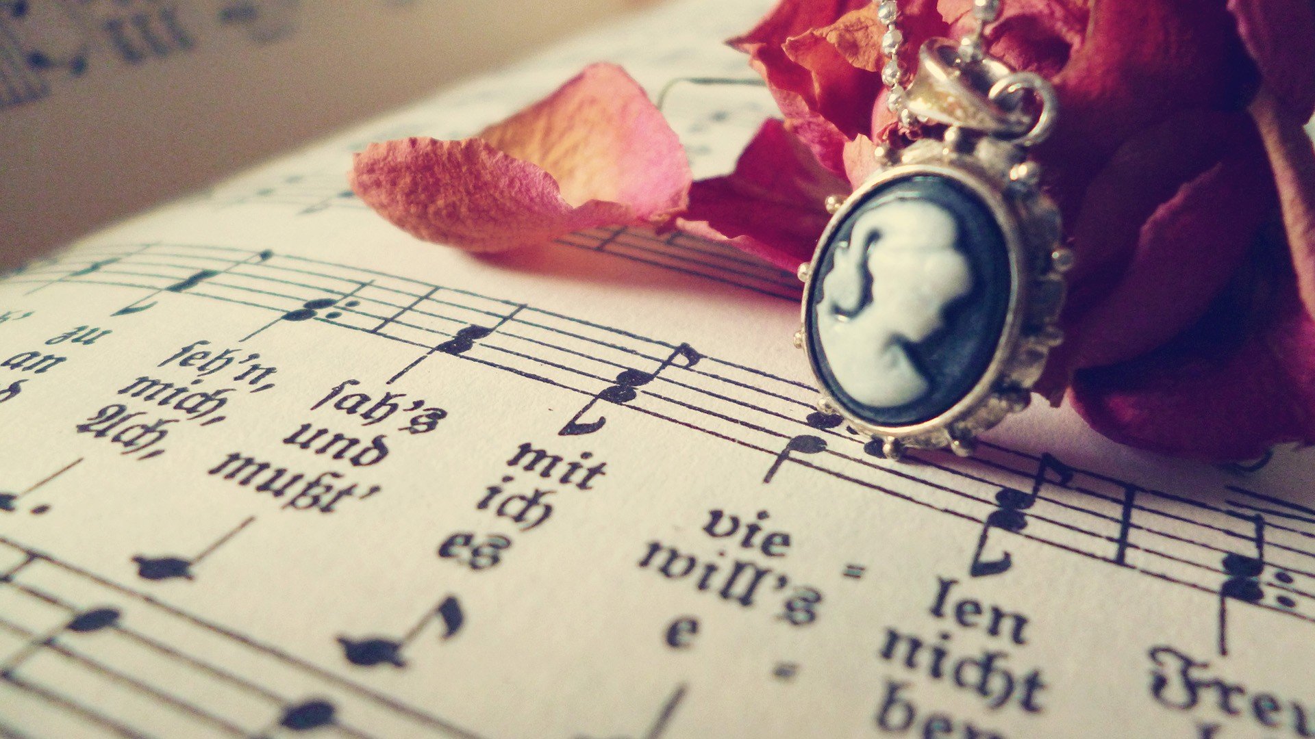 小清新,唯美,静物写真,温馨,物语,回忆,花,书