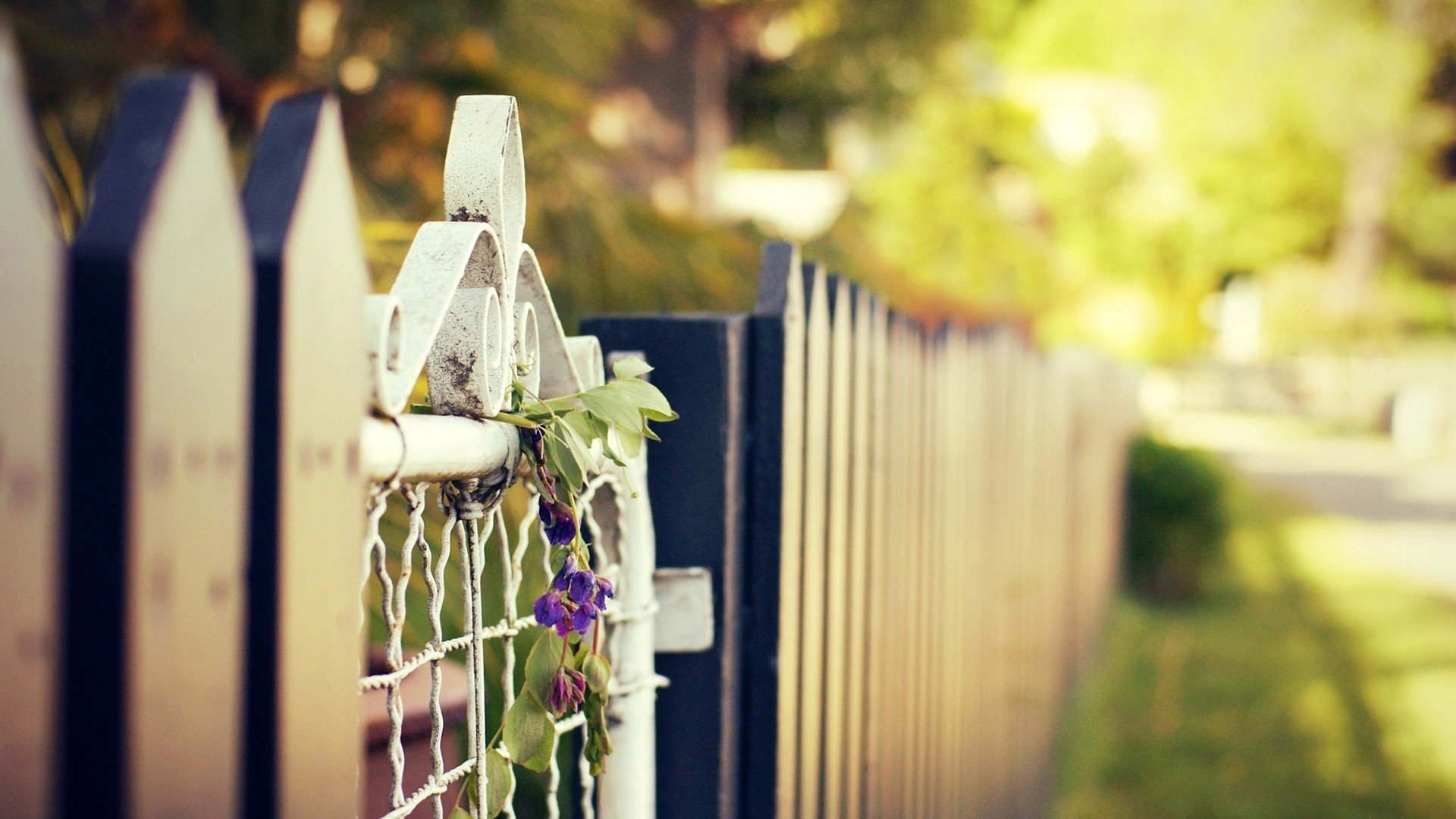 风景,自然风光,小镇,田园,房子,唯美,春意盎然,炎炎夏日