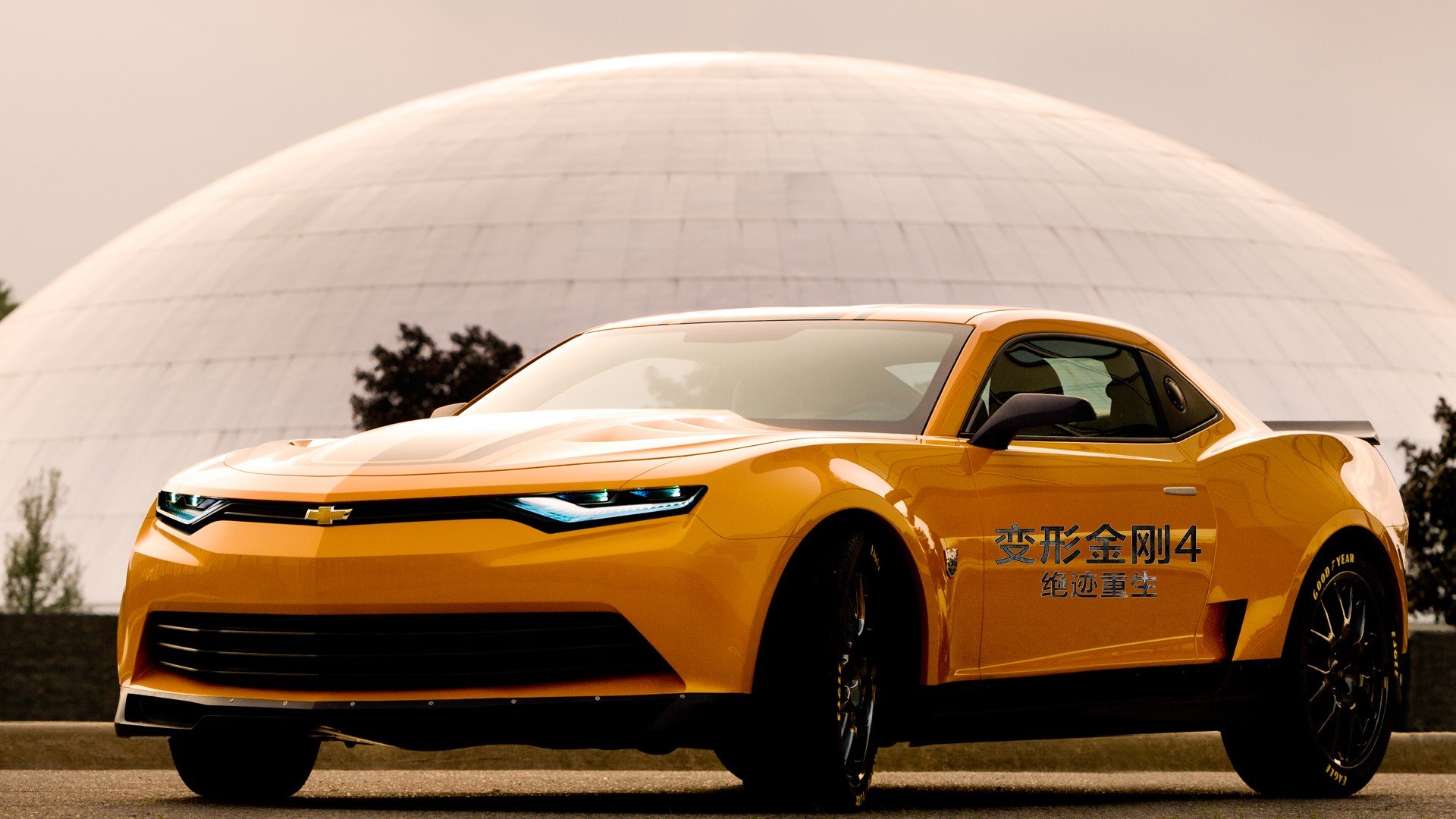 影视,剧照,变形金刚4